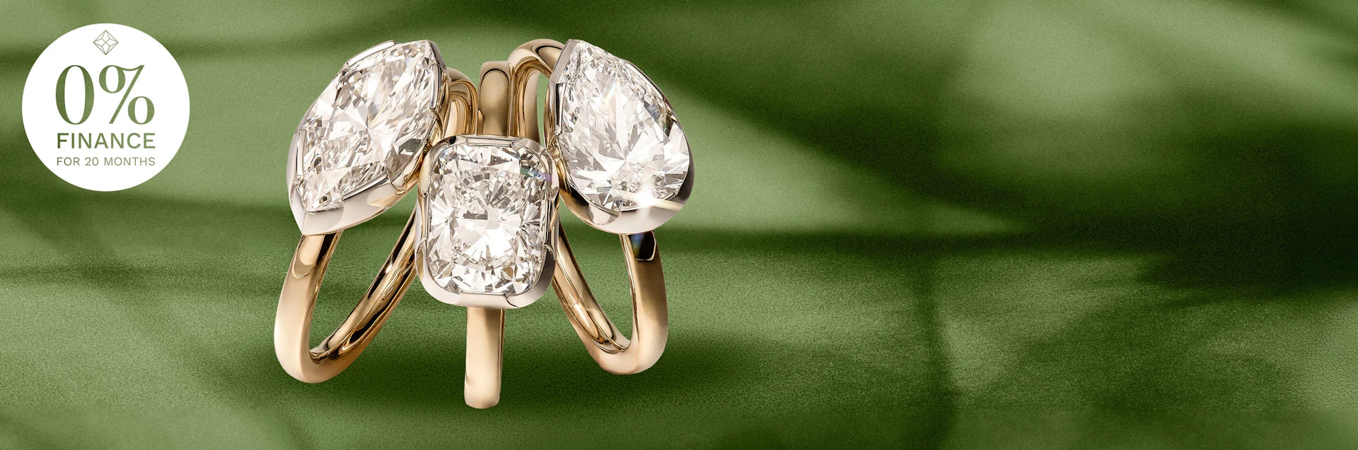 Timeless Elegance Since 1956